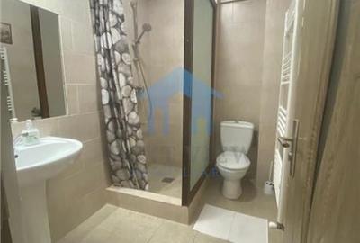Apartament 1 camera, Grigorescu Apartament 1 camera, Grigorescu - 2