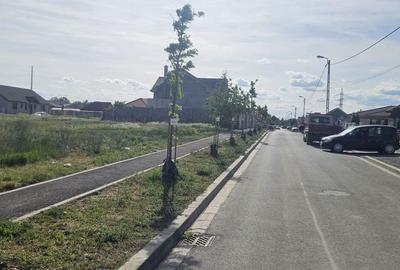 Spațiu comercial, în Paleu