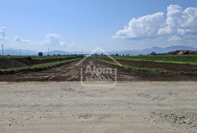 Teren Pretabil Investitie Harman - 19