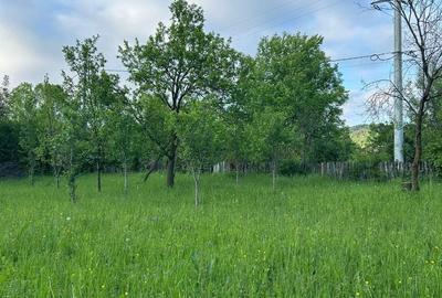 Spațiu comercial, în Brebu - 8