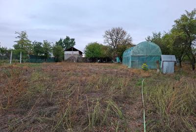 Casă individuală cu 2 camere cu Teren 2600 Mp în Crâmpoia - 12