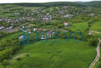 Teren de vanzare, Com. Racova, Str. Bradului, Bacau - 9