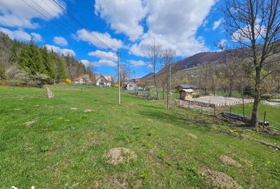 Teren de 2000 mp, în Valea Doftanei - 8