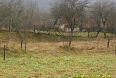 Vand teren in Ranusa - 17