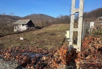 TAUTII MAGHERAUS strada 74 teren intravilan de aprox 36ari ! - 6