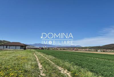 Teren Construcții intravilan de 520 mp, în Bălești - 8