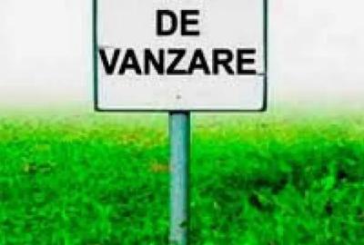 Teren de 5000 mp, în Rădăuți - 1