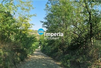 Teren intravilan de vanzare in Iasi, amplasat in zona Holboca-Ruseni - 7