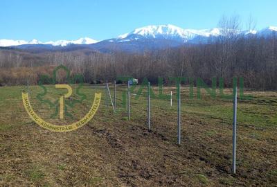 Teren agricol extravilan de 1737 mp, în Racovița - 3