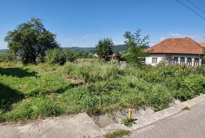 TEREN INVESTITIE ARGES - LANGA CURTEA DE ARGES TEREN INVESTITIE ARGES - LANGA CURTEA DE ARGES - 2