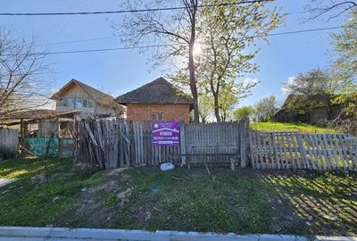 Vanzare teren 4606 mp - Sat Balta - Runcu - la aproximativ 20 km de Targu Jiu - 6