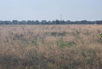 Teren 25000 la 4 benzi deschidere 70m - 3