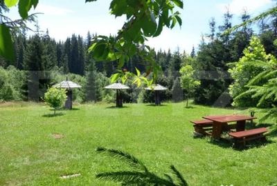 Casă cu 7 camere cu Teren 6060 Mp în Central - 4