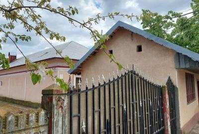 Casă individuală cu 6 camere cu Teren 1175 Mp în Islaz - 2