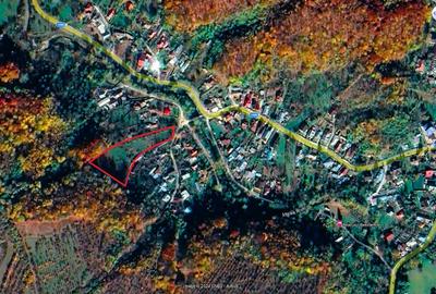 VANZARE teren intravilan 6011mp Mislea Scorteni Prahova Telega Prahova utilitati - 9