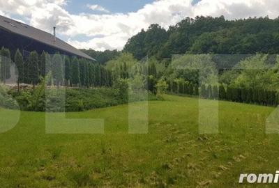 Casă cu 5 camere cu Teren 3000 Mp în Făget - 2