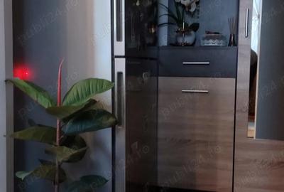 Vanzare apartament 2 camere Trivale - 8