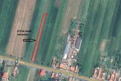 Teren de 30000 mp, în Lugașu de Jos - 3