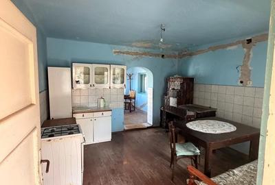 Casă cu 3 camere cu Teren 3000 Mp în Gothatea - 3