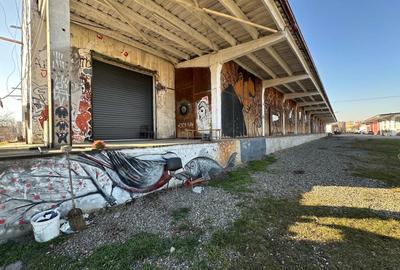 Hala renovata cu rampa de la 492mp la 1000mp, zona Carrefour Felicia - 9