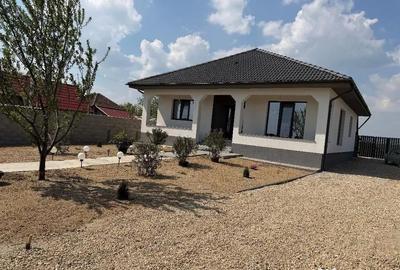 Casă cu 3 camere cu Teren 4200 Mp în Cărăndeni - 4
