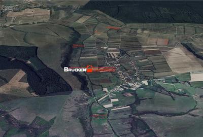 Teren de 23400 mp, în Husasău de Tinca - 3