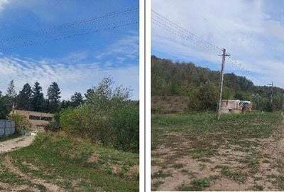 Teren Filipeni, Padure, ID: R2388722 - 4