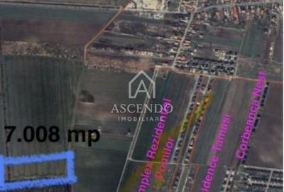 Vanzare teren 7.000 mp - Buftea, zona Tămași | lângă pădure - 1
