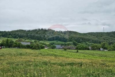 Teren Construcții intravilan de 1495 mp, în Dobreni - 9