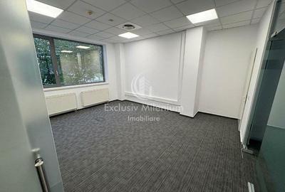 Birouri Cismigiu -Stirbei Voda - 5