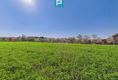 Teren Construcții intravilan de 3024 mp, în Almaș - 3