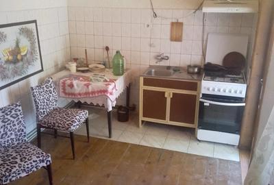 Casă cu 6 camere cu Teren 500 Mp în Moșnița Veche - 1