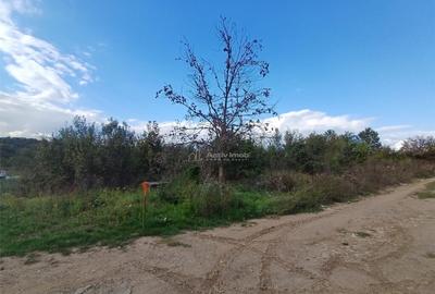 Resita, Teren Intravilan 2819 Mp., 16 Euro/Mp., Calea Carans - 6