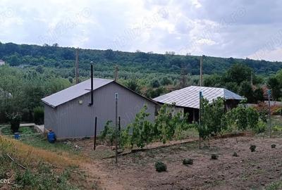 Teren de 4650 mp, în Vârvor - 2