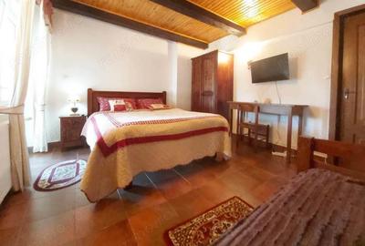 Vanzare Casa Pensiune mare superba la munte Cheia Prahova langa padure totul impecabil 1905 mp teren - 7