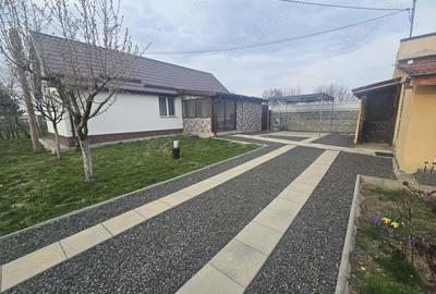 Casă cu Teren 1667 Mp în Alioș - 1