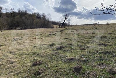 Teren extravilan in suprafata de 7500 mp la poalele Mesesului - 5