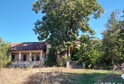 Casa cu teren 11414 mp , Vladimir-Andreesti , Jud.Gorj Pret 60000 - 4
