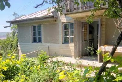 Casă cu 3 camere cu Teren 3400 Mp în Podu Turcului - 1