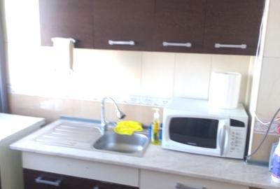 Camil Ressu, Park Lake, Piata Ramnicu Sarat - 4