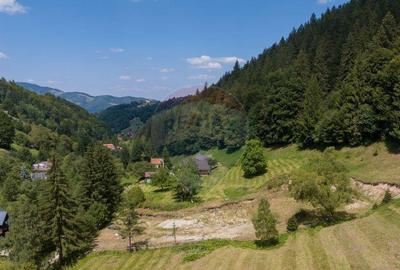 De vanzare Teren cu autoriza?ie de construire, ?im... - 1
