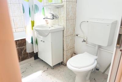 Apartament cu 2 camere decomandat, mobilat în George Enescu - 9