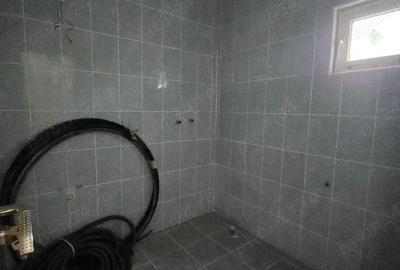 Casa parter Teren 772mp Asfalt Utilitati Berceni - 7