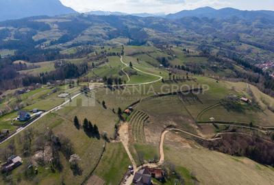 Teren Construcții intravilan de 3791 mp, în Poiana Mărului - 16