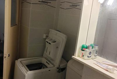 Inchiriere apartament 1 camera Timocului - 2