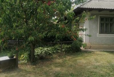 Casă individuală cu 3 camere cu Teren 1800 Mp în Brăești - 1