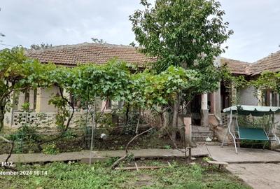 Casa Viisoara - 3