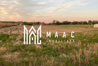 Teren de vanzare | 4.300 Mp | Cristian Teren de vanzare | 4.300 Mp | Cristian - 2