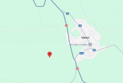 Teren Extravilan cota parte 1/4, Varlezi, ID: R2730256 - 13