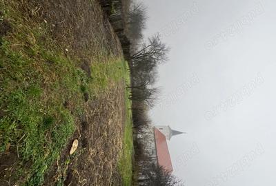 Casă cu 3 camere cu Teren 1114 Mp în Vechea - 4